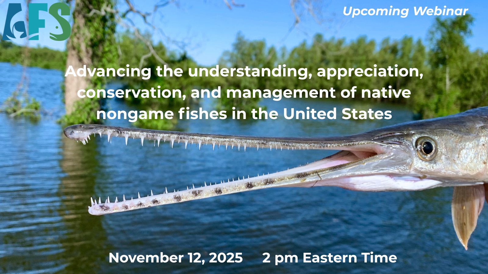 Management of Native Nongame Fishes in the US